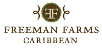 Caribbean at Freeman Farms Neighborhood