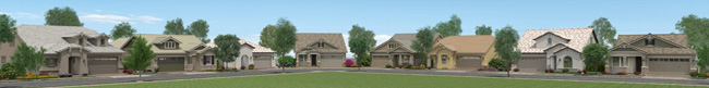Barney Farms Meadows