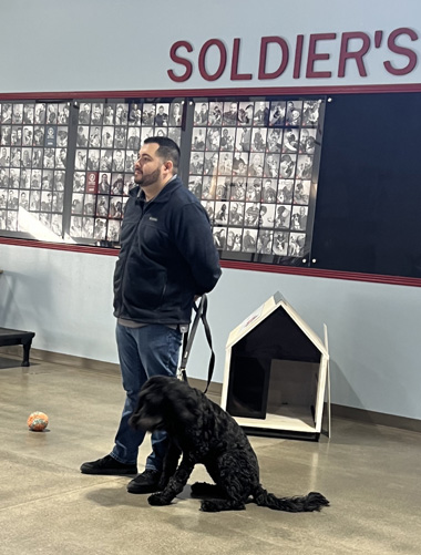 Pets For Vets-Winner 6