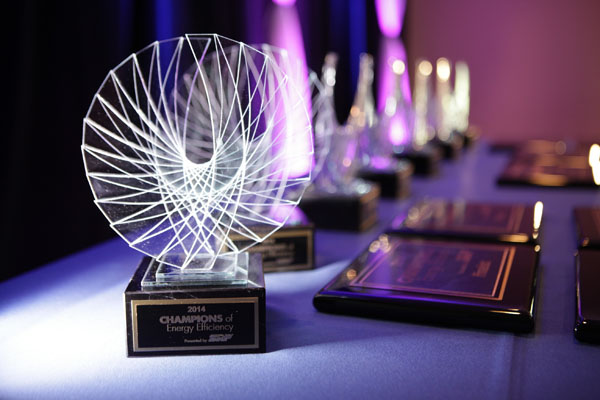 SRP Energy Award