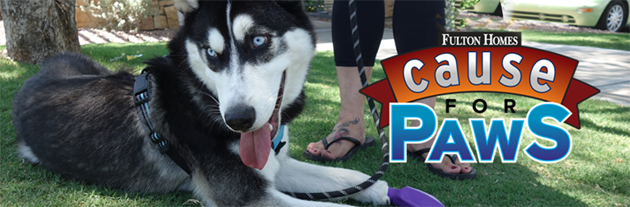 Cause for Paws 2021