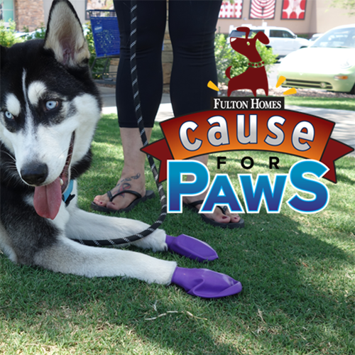Cause for Paws 2021 Continues