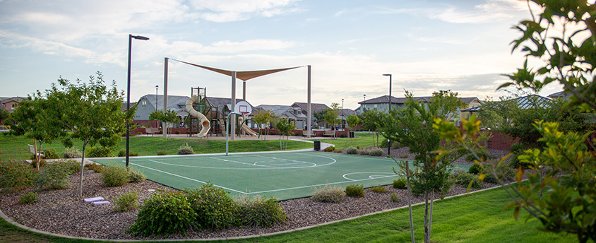Amenities
